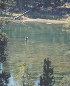 Nymph Fishing